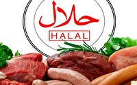 صدور ۱۰۸ گواهینامه معتبرحلال در استان البرز