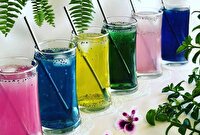 نوشیدنی‌ها و غذاهای ممنوعه در هوای گرم را بشناسید