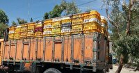 توقیف خودروی طیور زنده بدون مجوز دامپزشکی در بندر انزلی