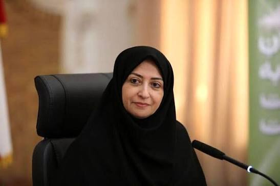 درخواست انصاری از مجلس برای تقویت سازمان محیطزیست درخواست انصاری از مجلس برای تقویت سازمان محیطزیست