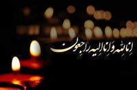 مادر شهید گرانقدر علیرضا محمودی پارسا به فرزند شهیدش پیوست
